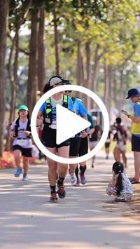 BIB:  <button type="button" onclick="openModal(27614343)" class="btn btn-primary btn-sm float-right" data-toggle="modal" data-target=".modal-high-quality">
                <i class="fa fa-download"></i> Download
                </button>